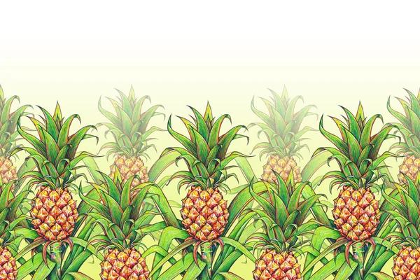 Pineapple with green leaves tropical fruit growing in a farm. Pineapple drawing markers seamless pattern frame border. Colour illustration for design. Handwork — Stock Photo, Image