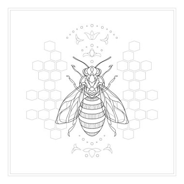 Kraliyet bal arısı beyaz arka planda izole edilmiş. Siyah beyaz vektör çizimi. Tasarım için grafiksel çizim çizimi.