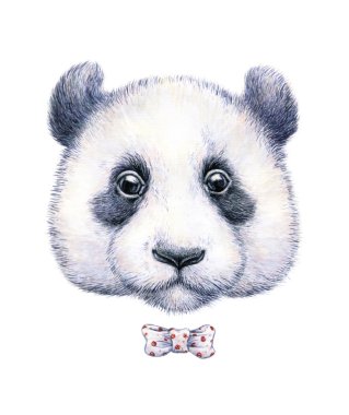 Bir panda beyaz arka plan üzerinde çizim su renk