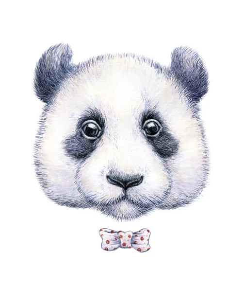 Disegno ad acquerello di un panda su sfondo bianco — Foto Stock