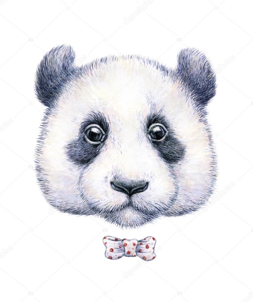 Water color drawing of a panda on white background