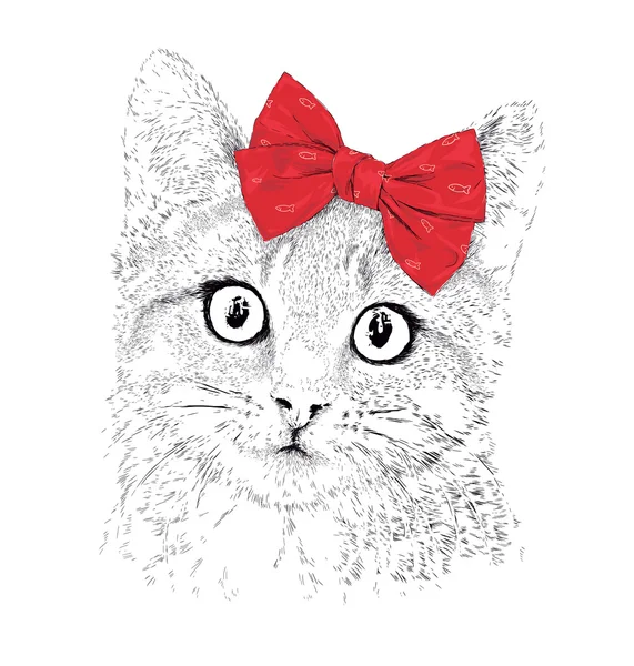 Bir kırmızı yay ile kedi.