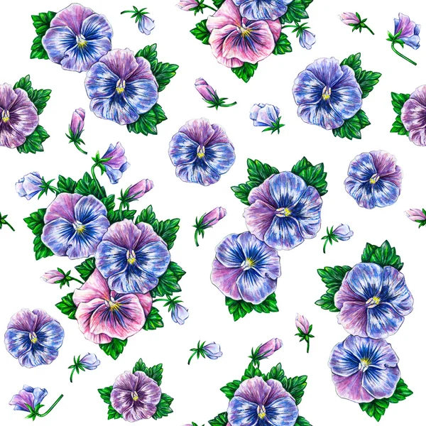 Driekleurig viooltje. Aquarel kleurrijke viooltjes bloemen tekening. — Stockfoto