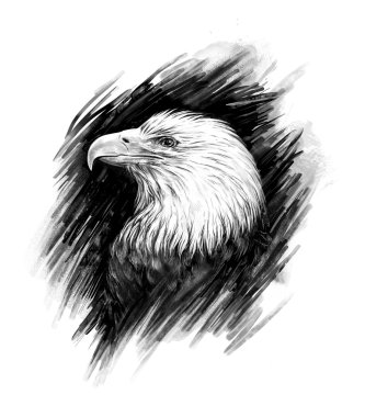 Kartal. Gerçekçi grafik çizim.