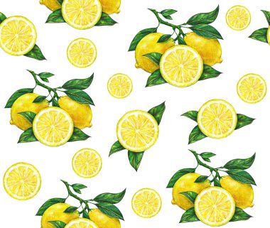 Beyaz arka plan üzerinde izole güzel sarı limon meyve büyük Illustration. Sulu Boya limon çizim.
