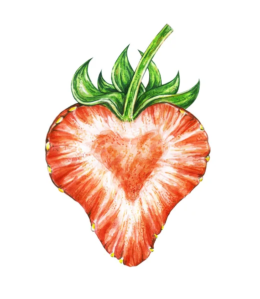 Strawberry love. Watercolor drawing of strawberry. — Stock Photo, Image