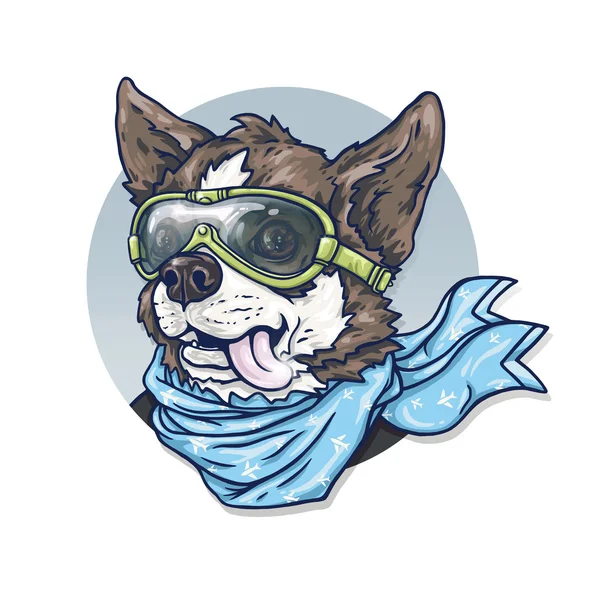 Dog-pilot in glasses and a scarf. Chihuahua. — Stock Photo, Image