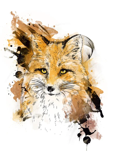 Fox. Graphic drawing. — Stock Photo, Image