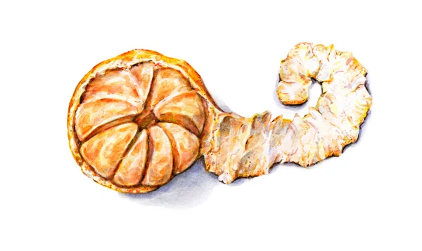 Rijp aquarel gepelde Mandarijn. Handwerk. Tropische vruchten. Gezonde voeding — Stockfoto