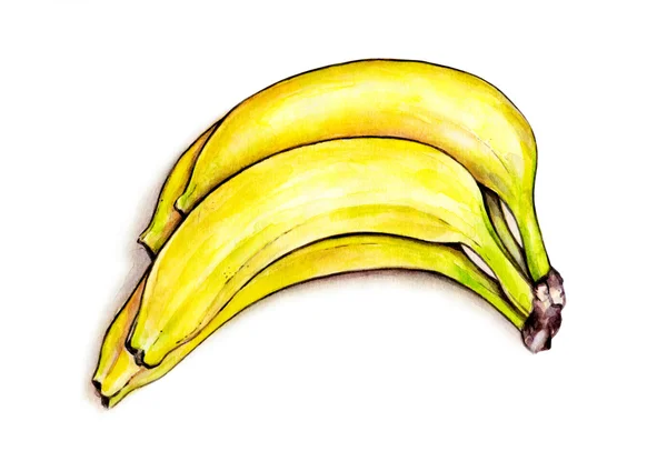 Um bando de bananas isoladas no fundo branco. Watercolor ilustração colorida. Fruta tropical. Trabalhos manuais — Fotografia de Stock