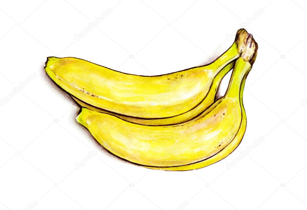 Bunch of bananas isolated on white background. Watercolor colourful illustration. Tropical fruit. Handwork