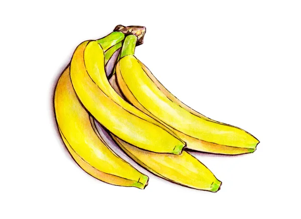 Manojo de plátanos aislados sobre fondo blanco. Acuarela ilustración colorida. Fruta tropical. Trabajos manuales —  Fotos de Stock