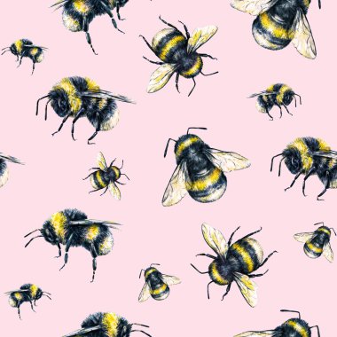 Bumblebee on a pink background. Watercolor drawing. Insects art. Handwork. Seamless pattern