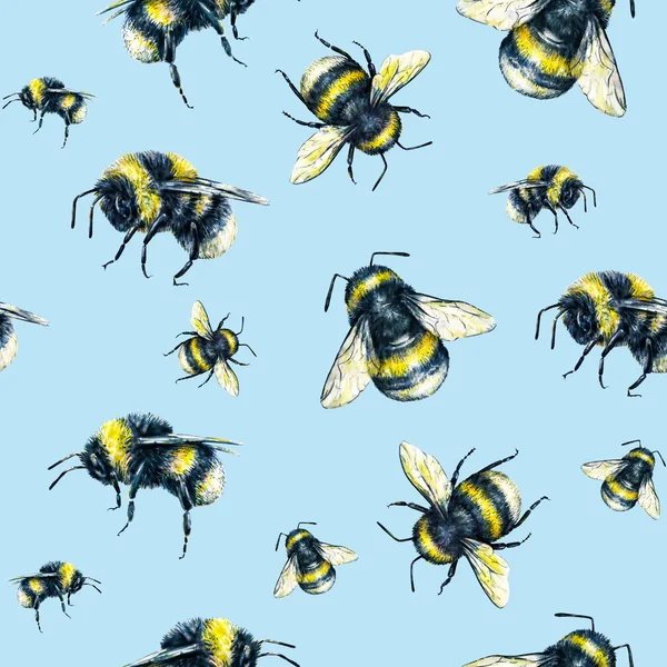 Bumblebee em um fundo azul claro. Desenho aquarela. Insetos da arte. Trabalho manual. Padrão sem costura — Fotografia de Stock