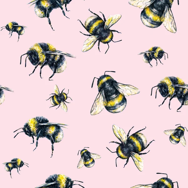 Bumblebee su sfondo rosa. Disegno ad acquerello. Insetti art. Lavoro manuale. Modello senza cuciture — Foto Stock