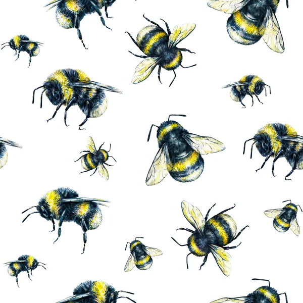 Bumblebee su sfondo bianco. Disegno ad acquerello. Insetti art. Lavoro manuale. Modello senza cuciture — Foto Stock