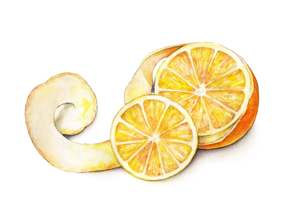 Спелые апельсины. Ручная работа. Тропические фрукты. Здоровое питание. Акварель — стоковое фото