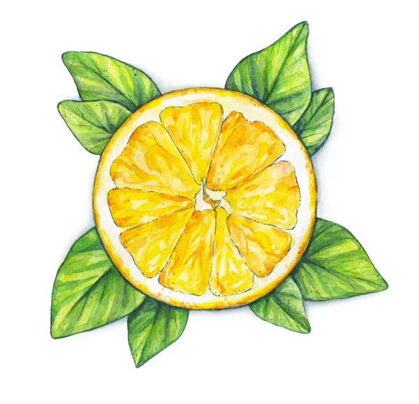 Orangenfrüchte reif mit grünen Blättern. Handarbeit. Tropische Früchte. Gesunde Ernährung. Aquarell — Stockfoto