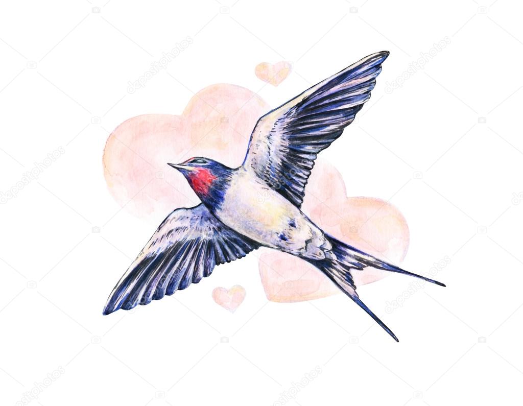 depositphotos_96824636 stock photo beautiful swallow watercolor illustration spring