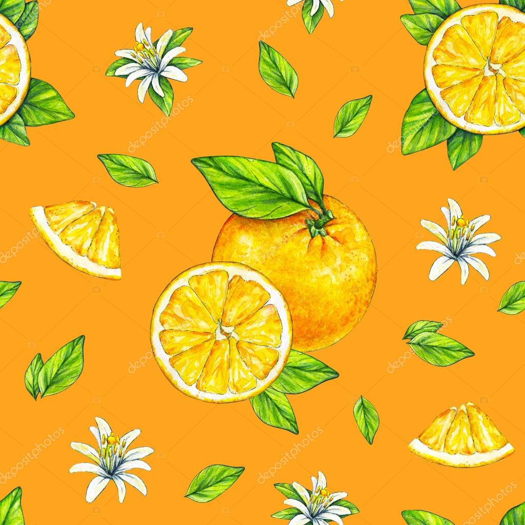Orange fruits ripe with green leaves. Watercolor drawing. Handwork ... for Drawing Orange Fruit
587fsj Orange fruits ripe with green leaves. Watercolor drawing. Handwork ... for Drawing Orange Fruit
587fsj