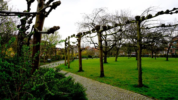 Park in Brugge — Stockfoto