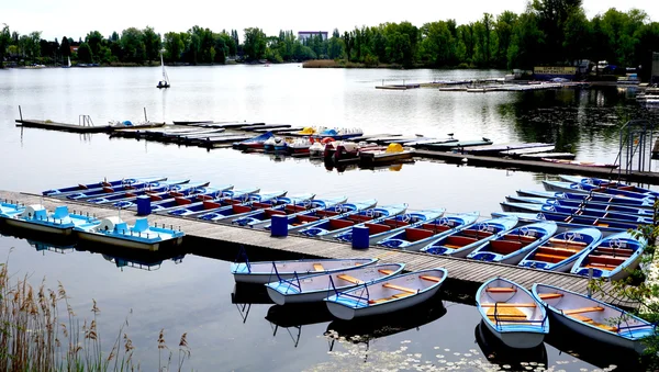 Boats in Danube  River Landscape — Stock Photo, Image