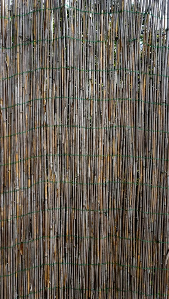 Bamboo wall fence vertical — Stock Photo, Image