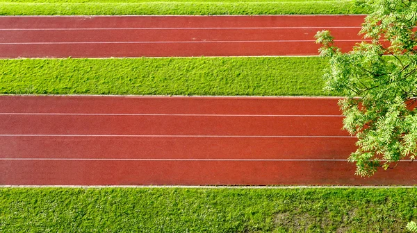 Running Track campo e grama — Fotografia de Stock