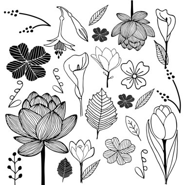 el çizilmiş kroki doodle siyah ve beyaz çiçek ve yaprak