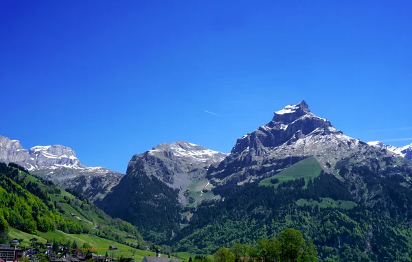 Mountains and forest — Stock Photo, Image