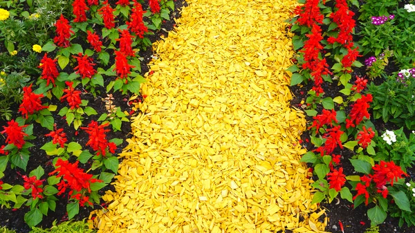 Coconut Coir Husk Fiber and garden — Stok fotoğraf