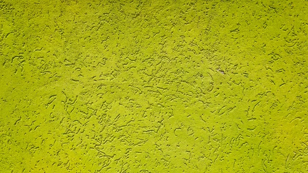 Зеленый цвет стены горизонтальной в Бурано — стоковое фото