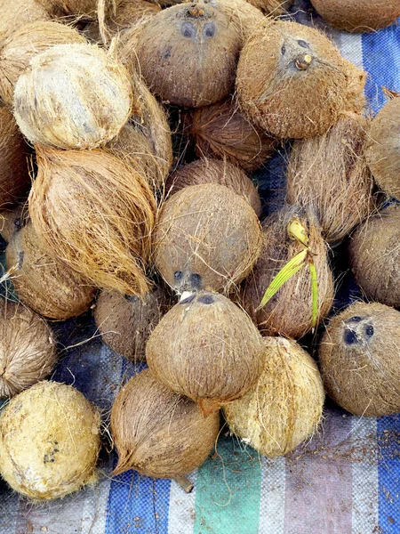 Local Coconuts display on canvas — Stock Photo, Image