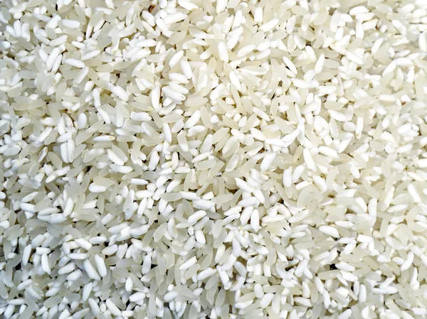 Закрыть белый рис — стоковое фото