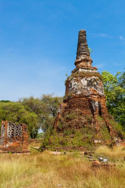 Ayutthaya güzel tapınakta. Tayland.