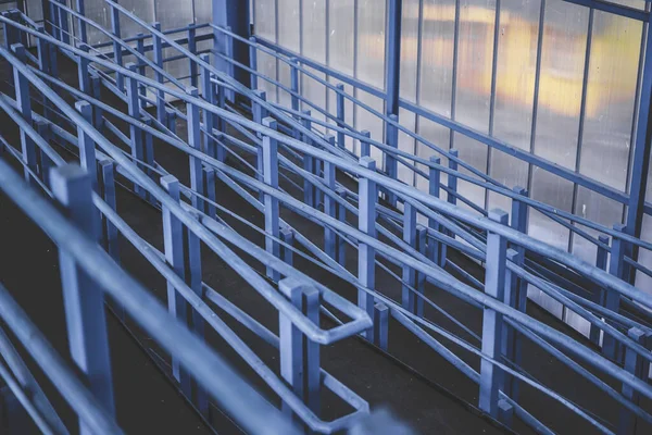 Şehrin tepesinde yaya geçidi var. Işık plastik camlardan geçer, metal maviye boyanır.