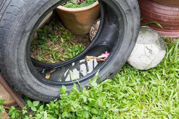 Los neumáticos usados potencialmente almacenan agua estancada y los mosquitos se reproducen —  Fotos de Stock