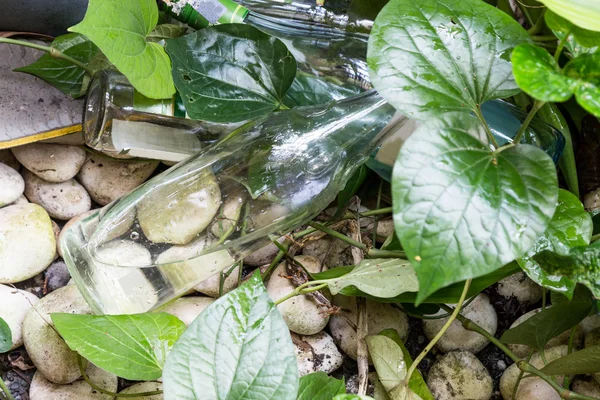 Las botellas vacías almacenan agua estancada y criadero para mosquitos —  Fotos de Stock
