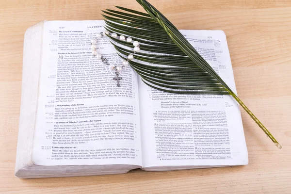 Closeup Catholic rosary with crucifix and beads on bible — Stock Photo, Image