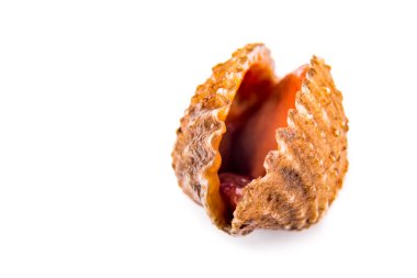 Portre üzerinde beyaz arka plan ile taze ve canlı kanlı