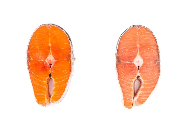Comparison between wild and farmed salmon blocks on white background