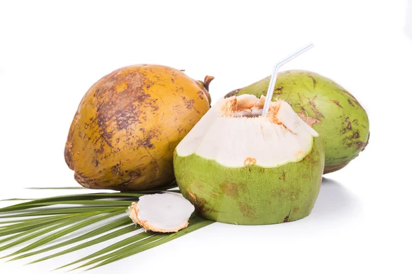 Tiga buah kelapa hijau segar dengan latar belakang putih — Stok Foto