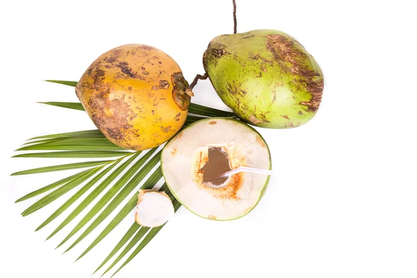 Três refrescantes suco de frutas de coco orgânico verde no fundo branco — Fotografia de Stock