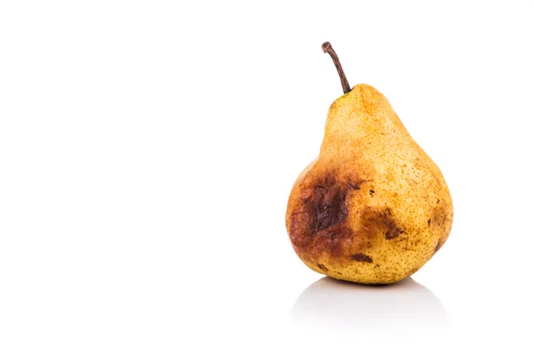 Pera podrida y en descomposición sobre fondo blanco — Foto de Stock