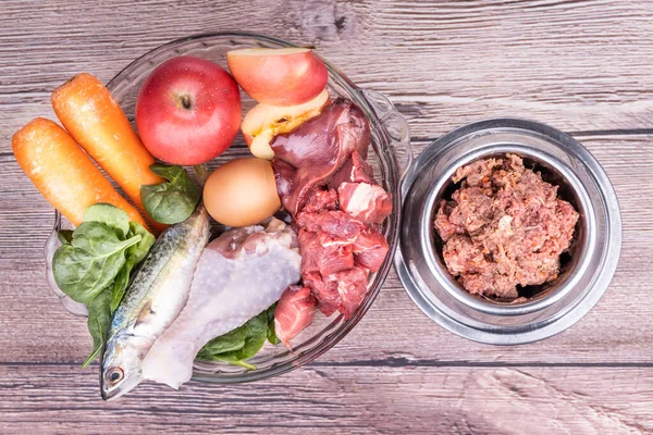 Ingredientes de vomitar receita de alimentos crus para cães que consistem em carne, órgãos, peixes, ovos e vegetais — Fotografia de Stock