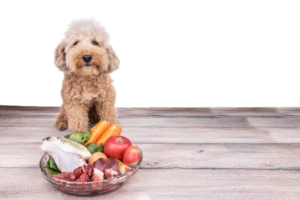 Gehorsame gesunde Hunde posieren mit rohem Rindenfleisch auf hölzerner Oberfläche — Stockfoto