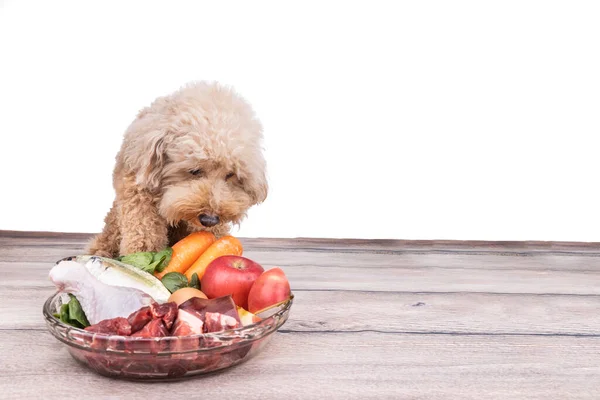 Gehoorzame gezonde honden poseren met kots rauw vlees op houten oppervlak — Stockfoto