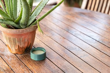 Kokulu doğal sitronella limon otuna yakın çekim güvenli ve kimyasal olarak korunmak için sivrisinek özlü böcek kovucu