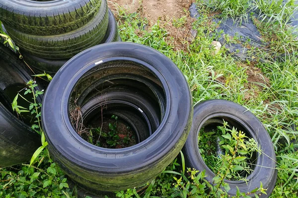 Pneu abandonado prende água da chuva, terra para reprodução de mosquitos que levam à dengue, febre infectada pela malária — Fotografia de Stock