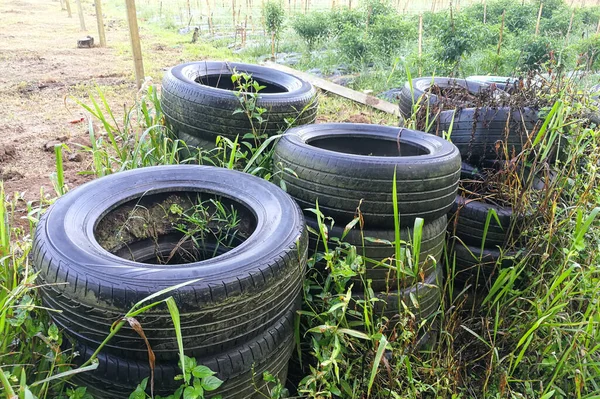 El neumático abandonado atrapa el agua de lluvia, tierra para la cría de mosquitos que conduce al dengue, fiebre infectada con malaria —  Fotos de Stock